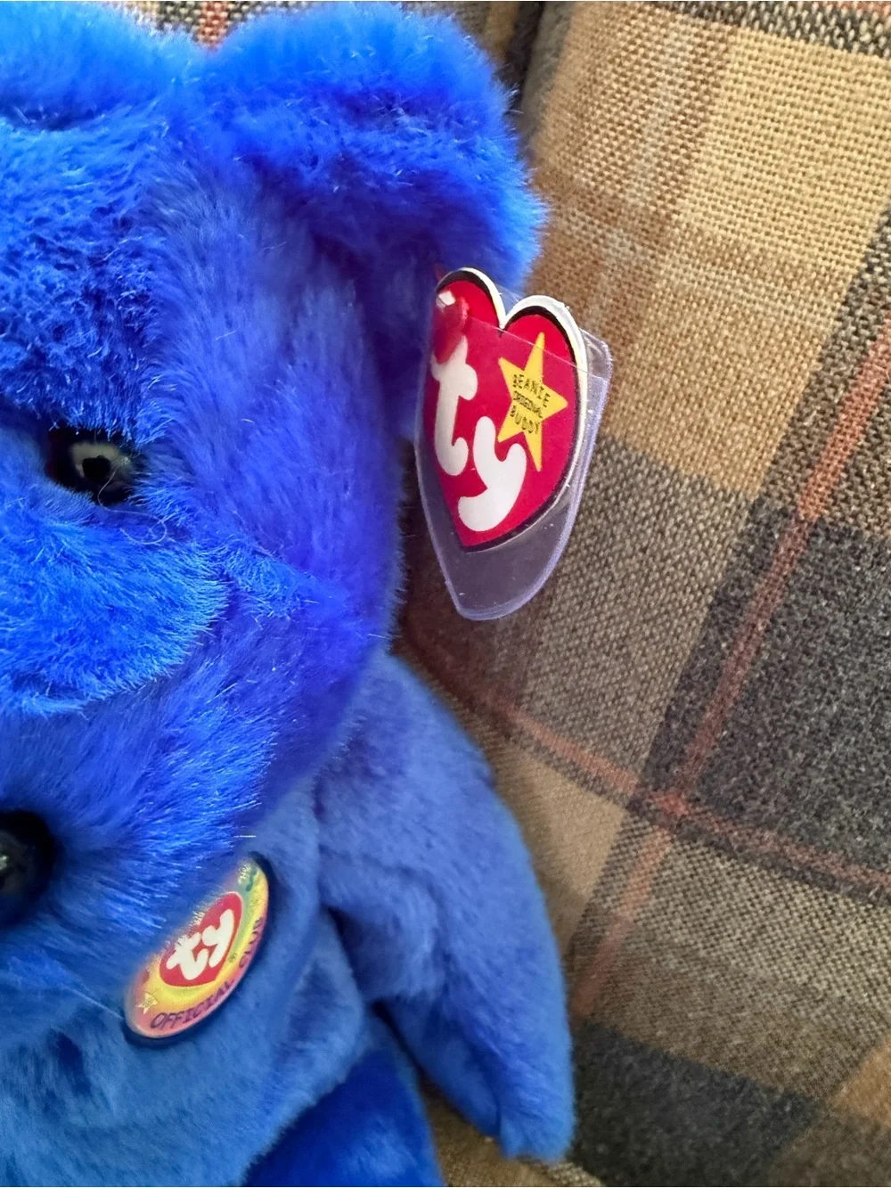 Ty beanie buddy